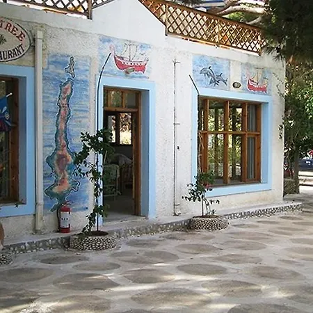 Hotel Pine Tree *