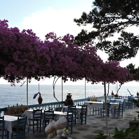 Hotel Pine Tree *
