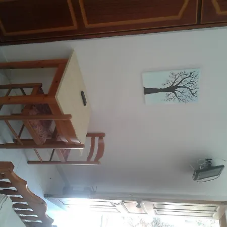 Pine Tree * Adia