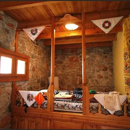 Hotel Pine Tree